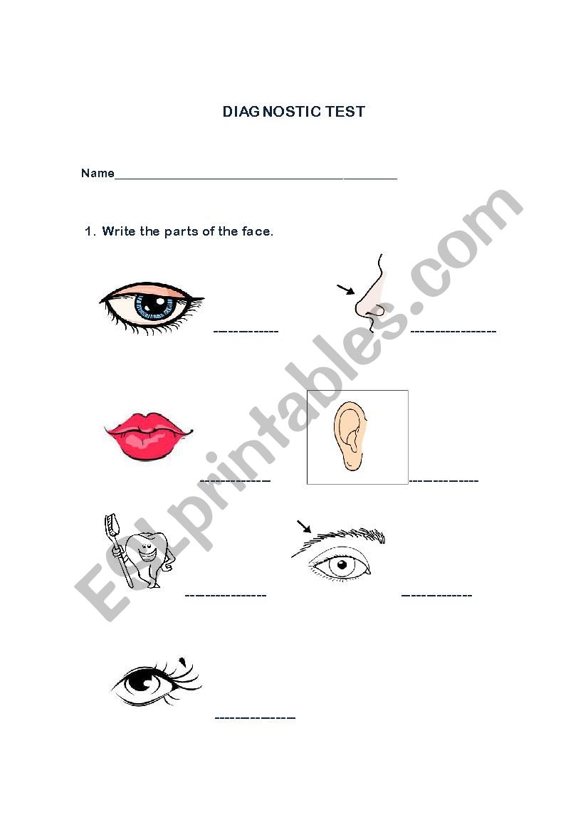 Test worksheet