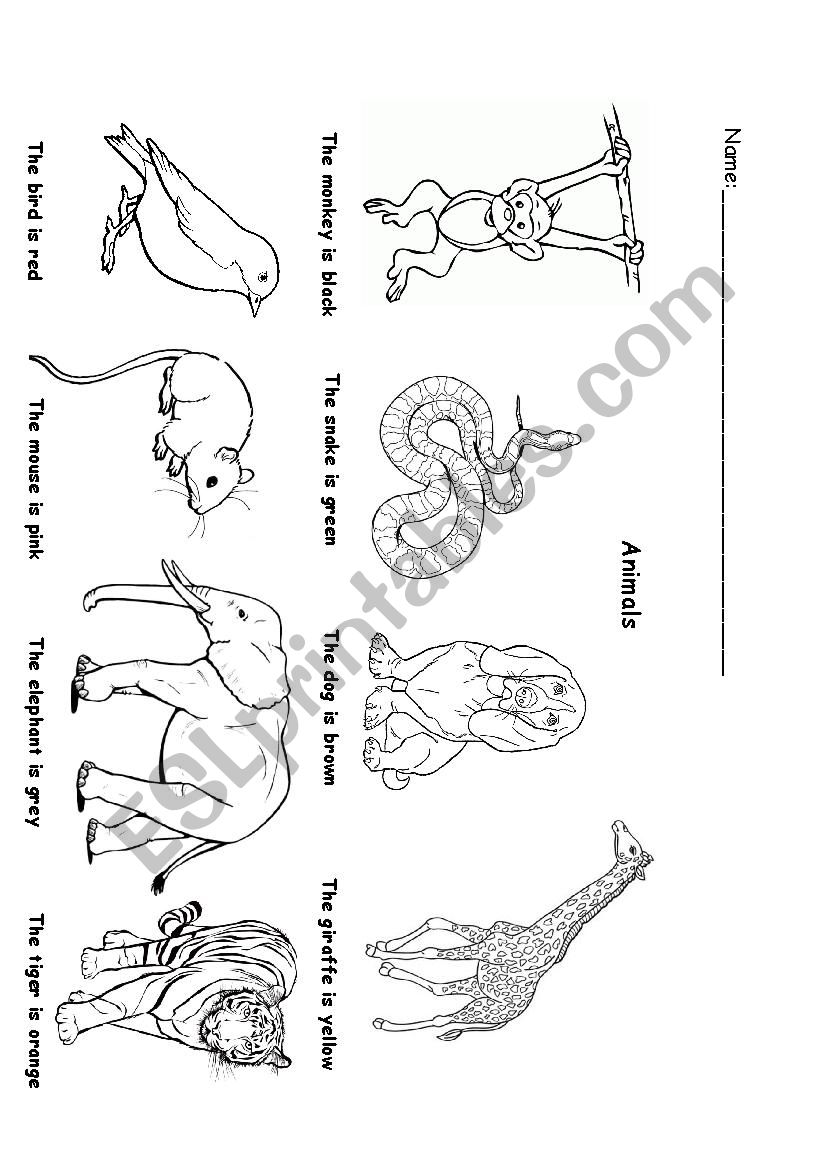 Animals worksheet