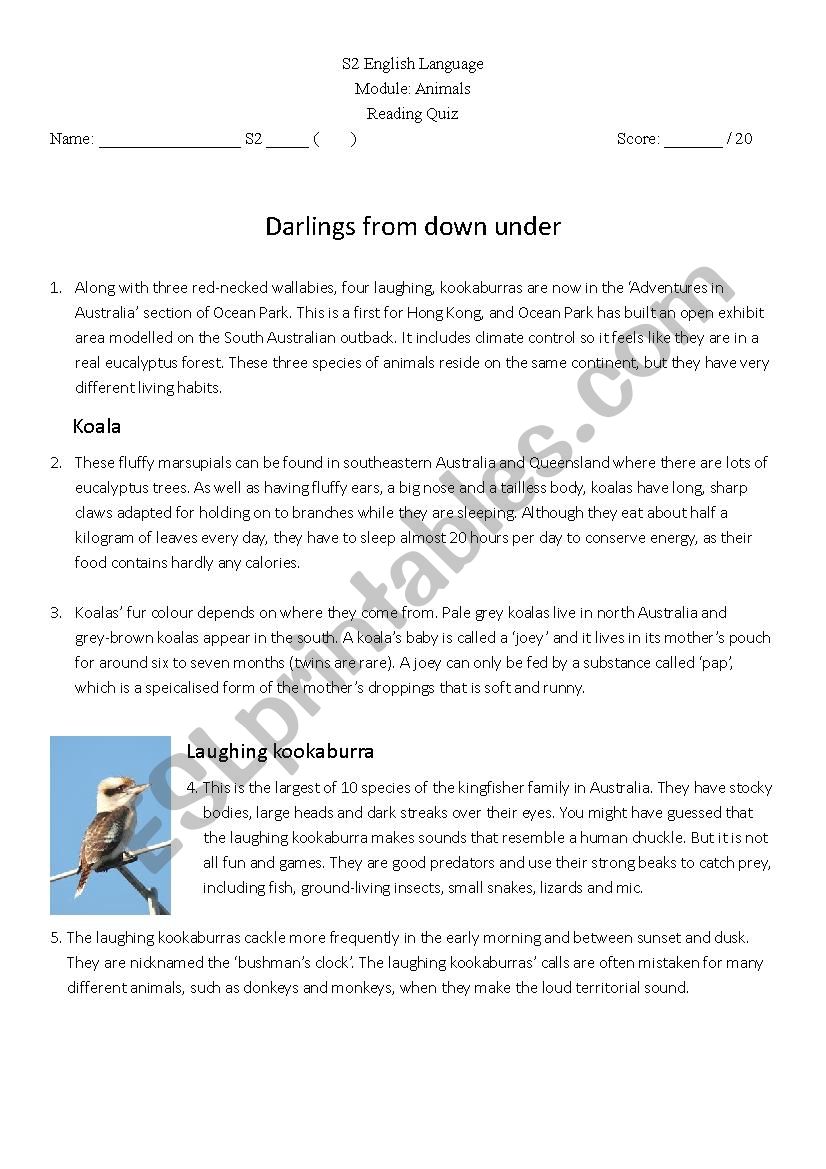 Reading Comprehension worksheet