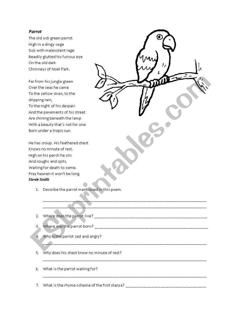 The parrot worksheet