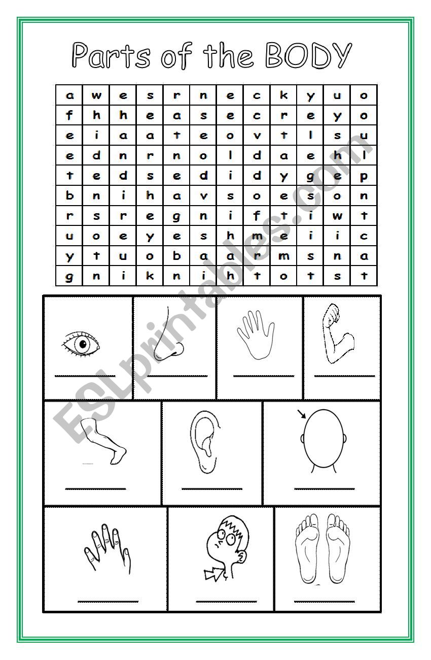 Parts of the body - Word Search