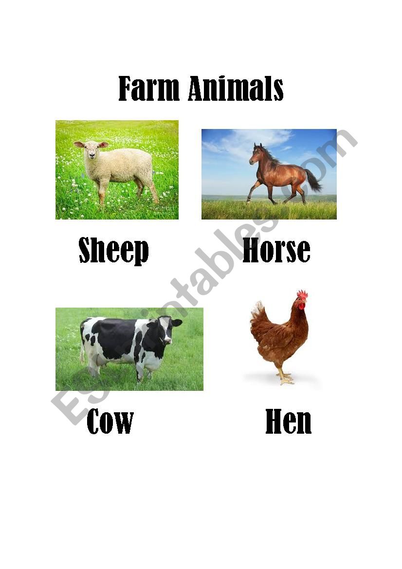 farm animals worksheet