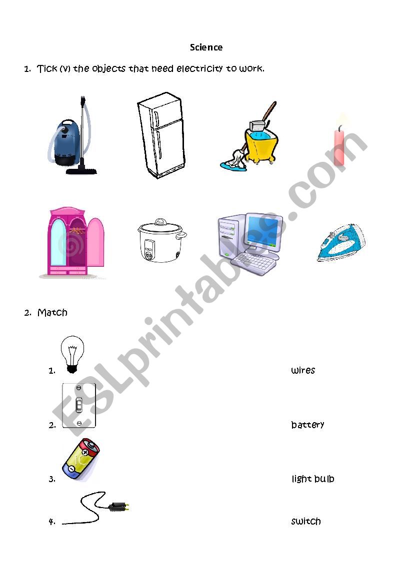 Science for kids worksheet