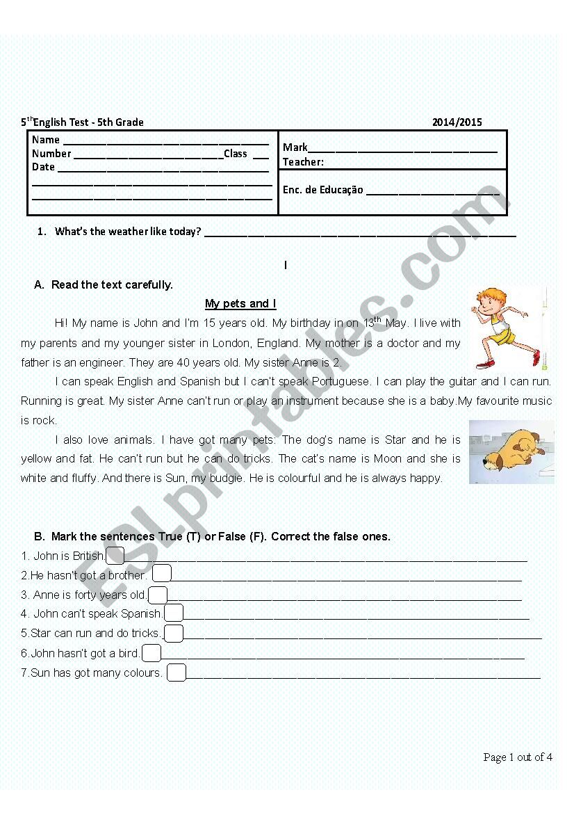 Test 5th grade. pets worksheet