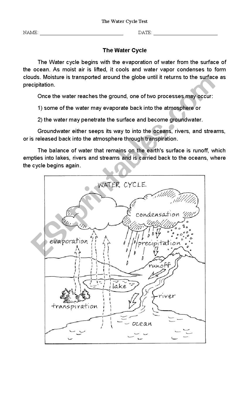 THe Water Cycle Test worksheet