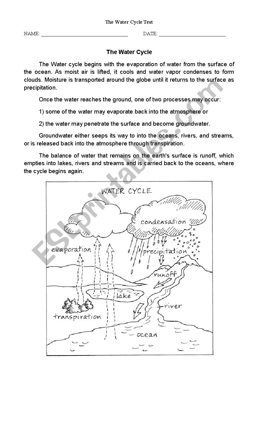 THe Water Cycle Test worksheet