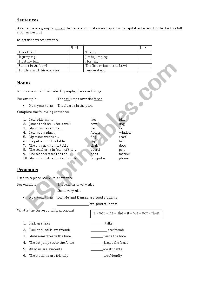 Sentences-nouns-pronouns worksheet