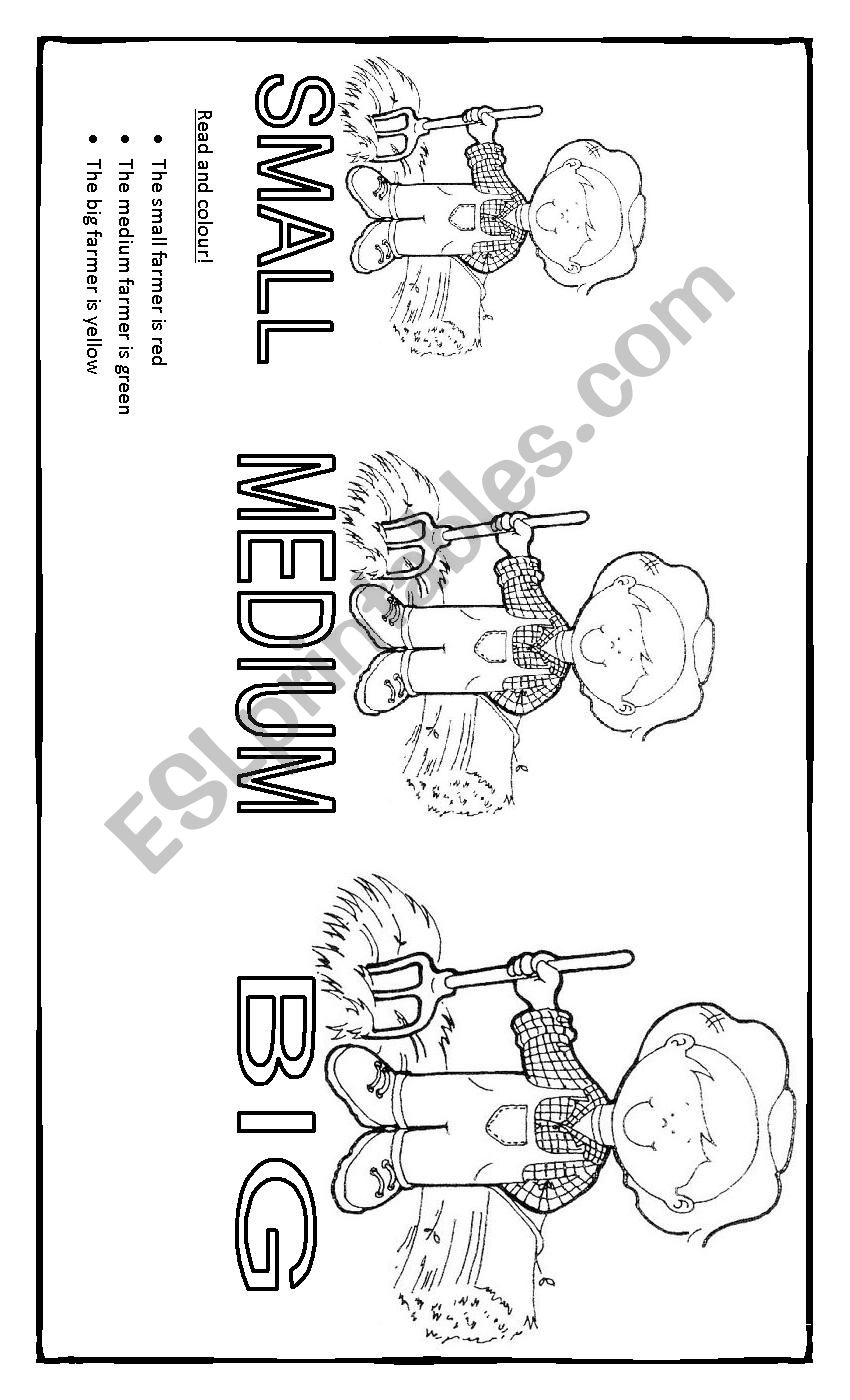 FARMER SIZE worksheet