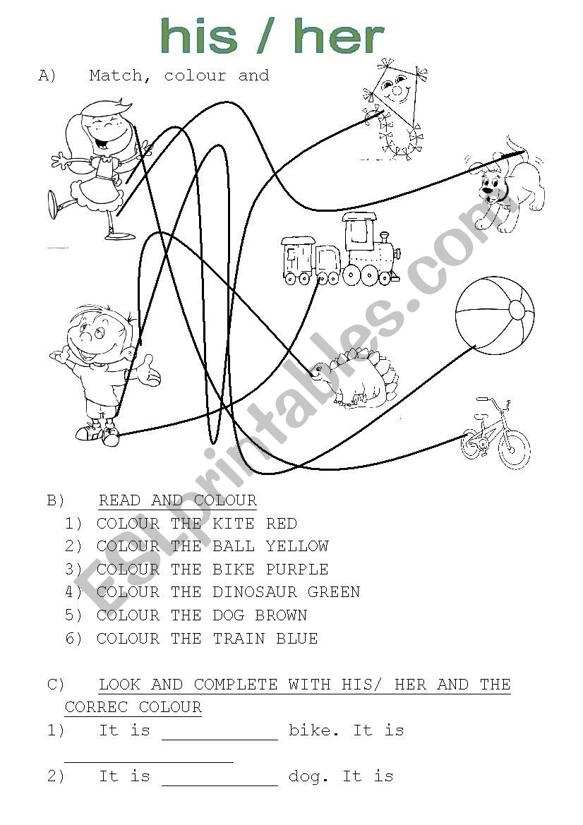 HIS/ HER worksheet