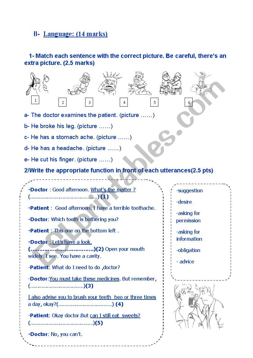 7th grade  mid term test 3 worksheet