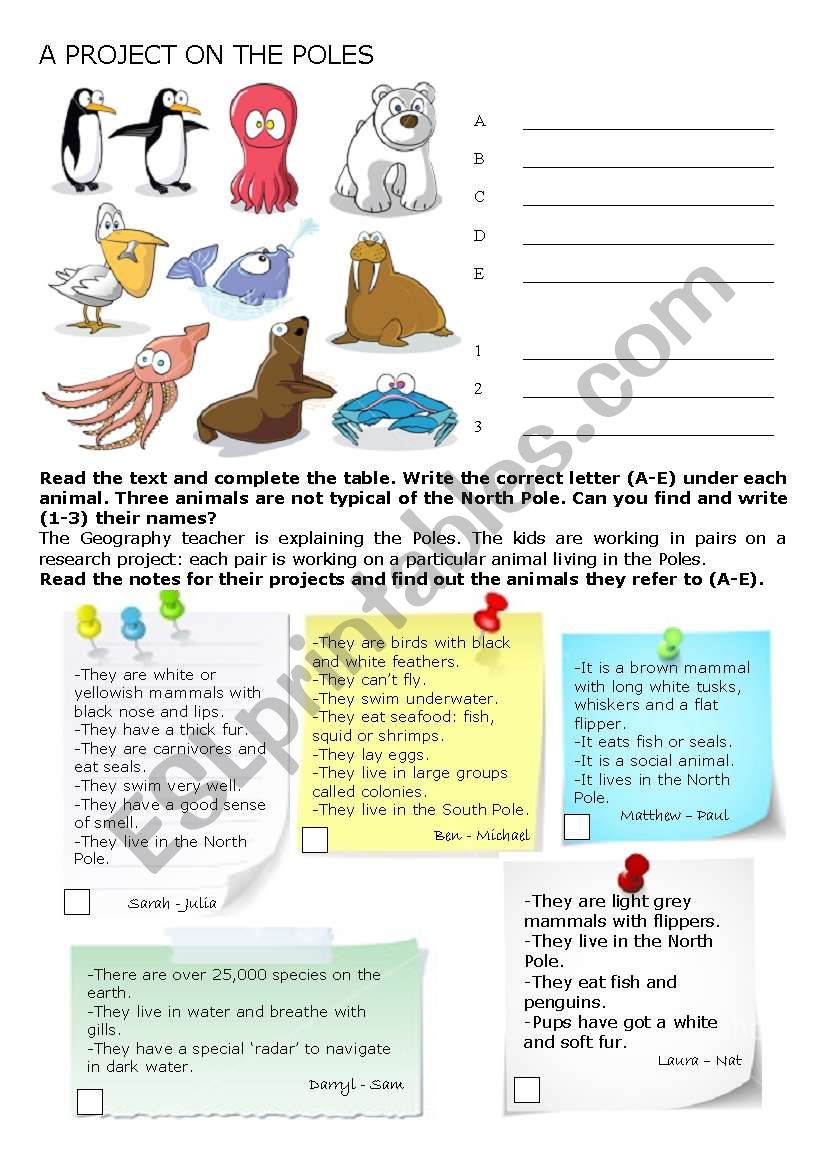 A Project on the Poles worksheet