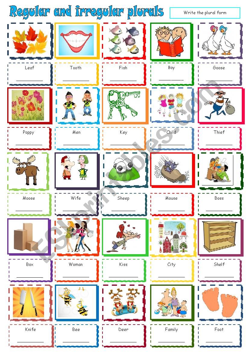 Regular and irregular plurals worksheet