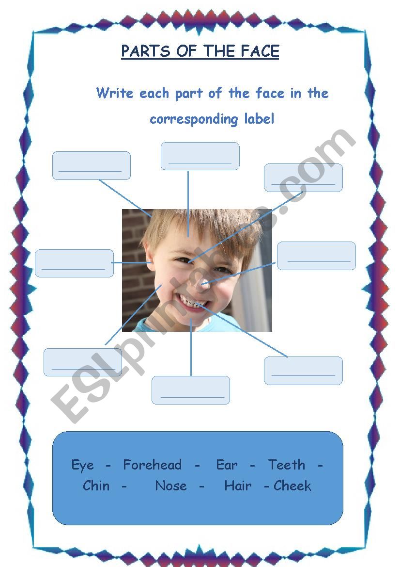 Parts of the face worksheet