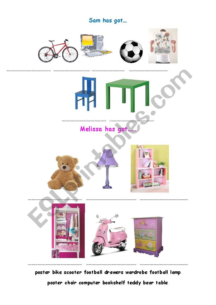 Elementary Vocabulary Fill Ins