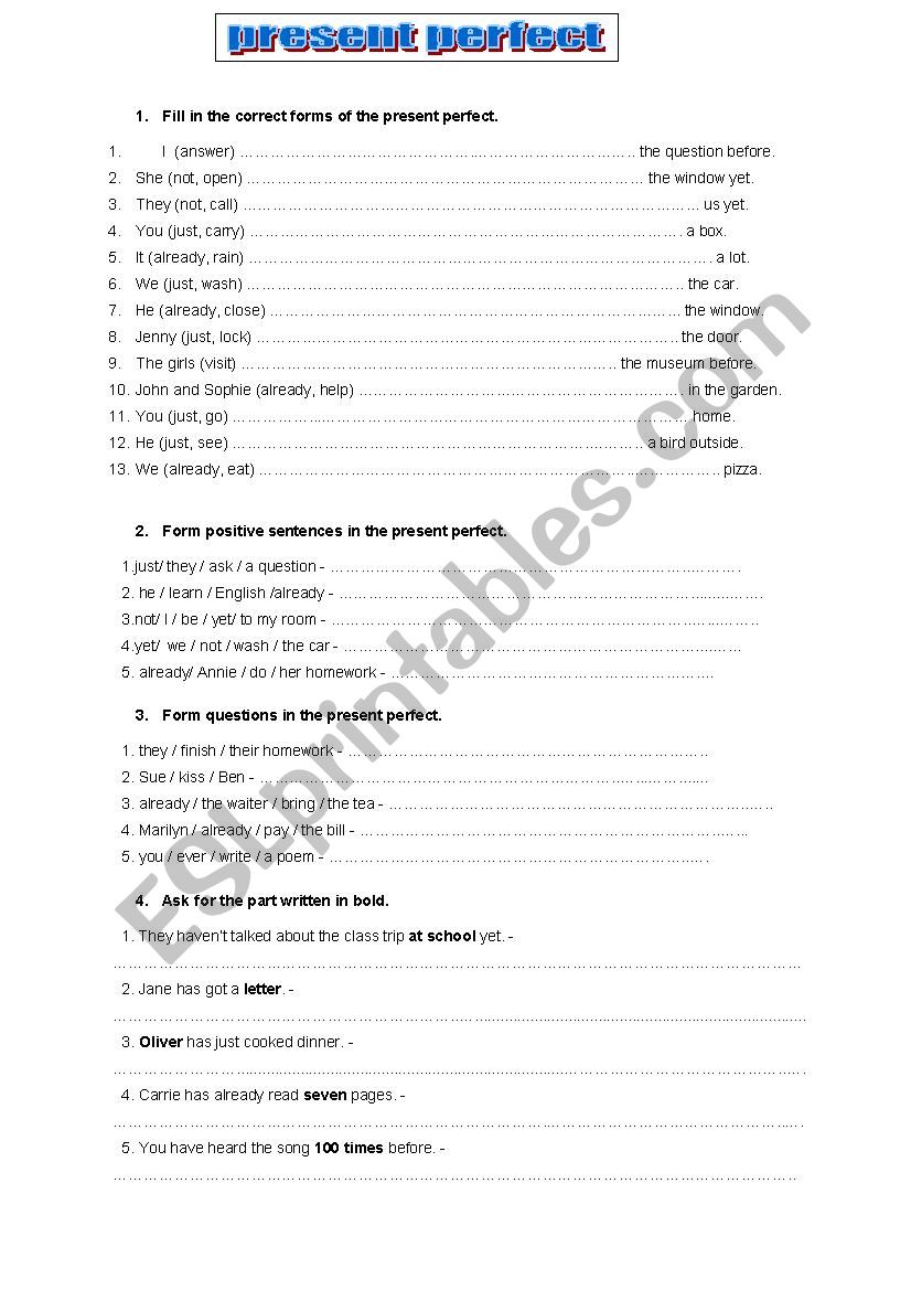 present perfect worksheet worksheet