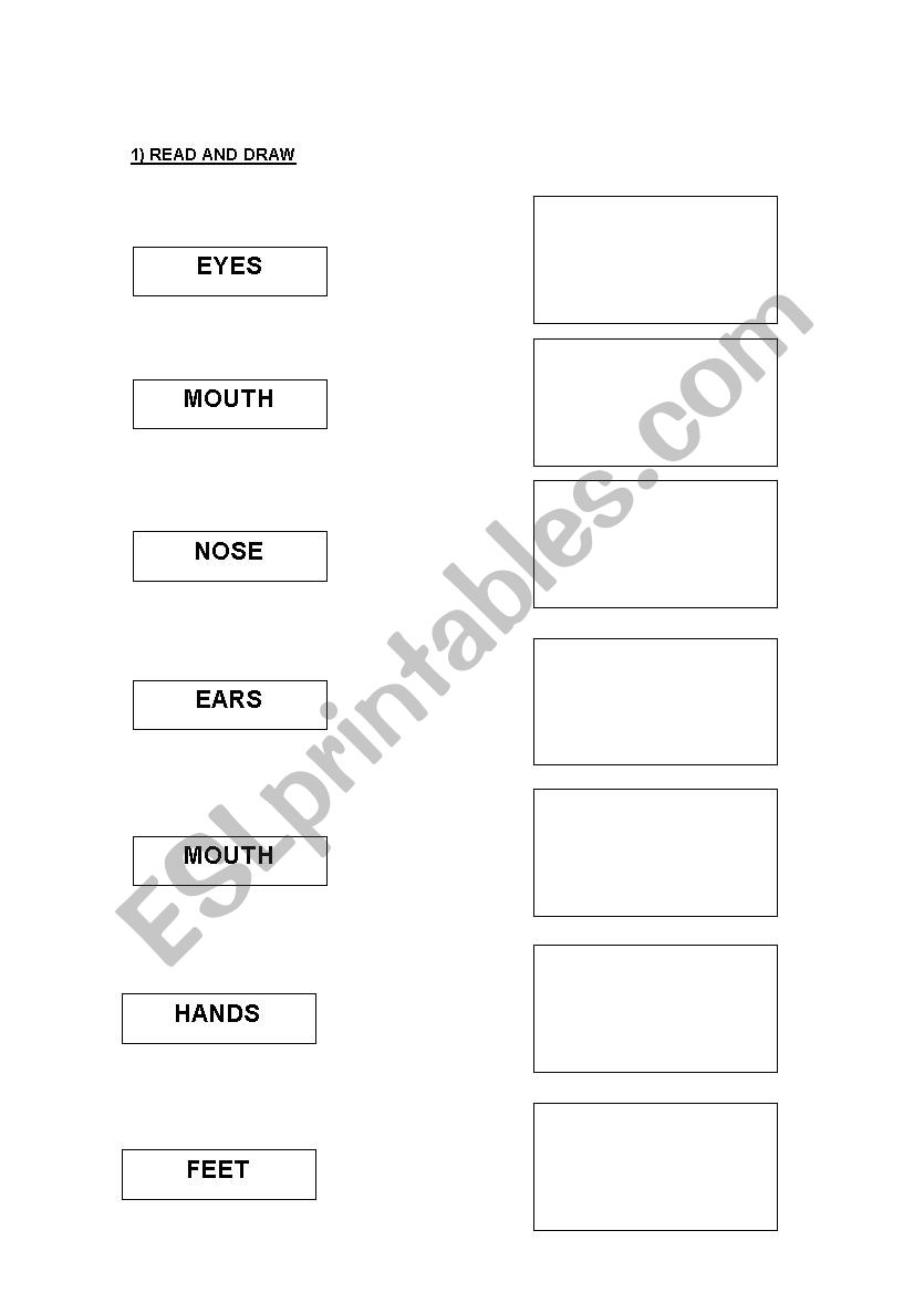 Parts of the body worksheet worksheet