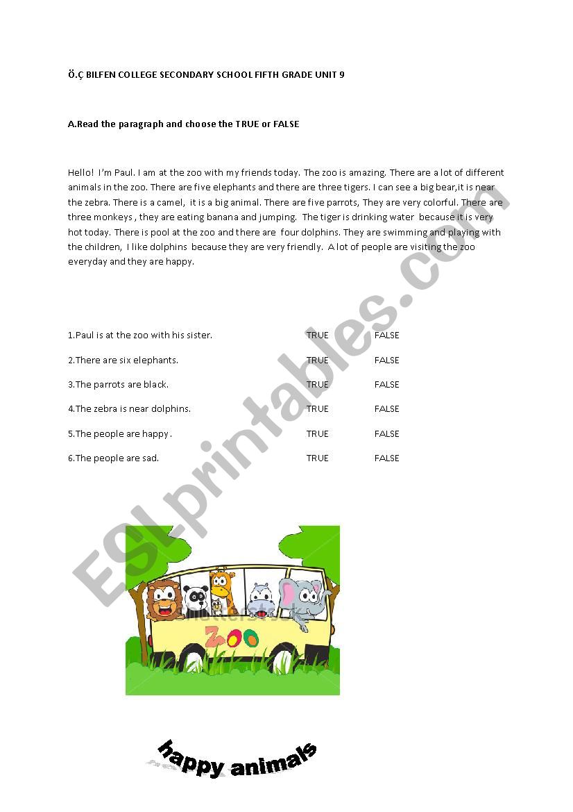 animal shelter worksheet