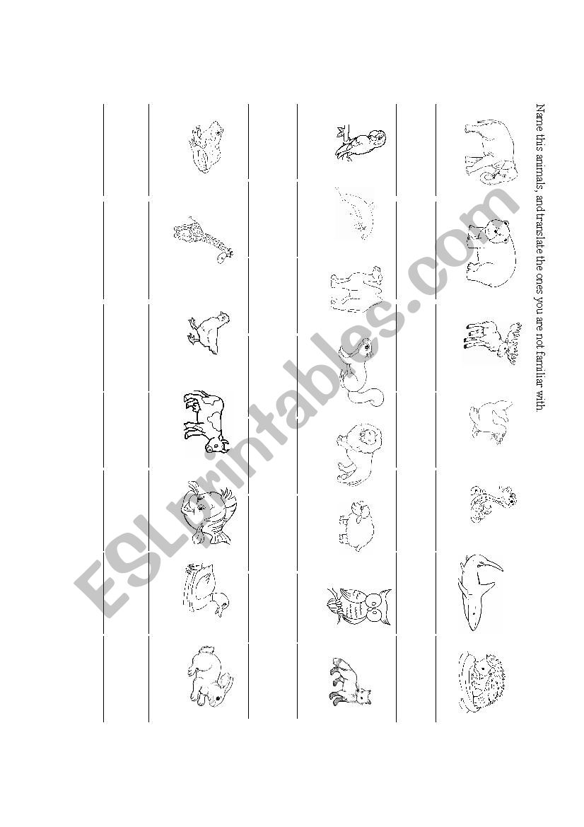 Animals and their habitats worksheet