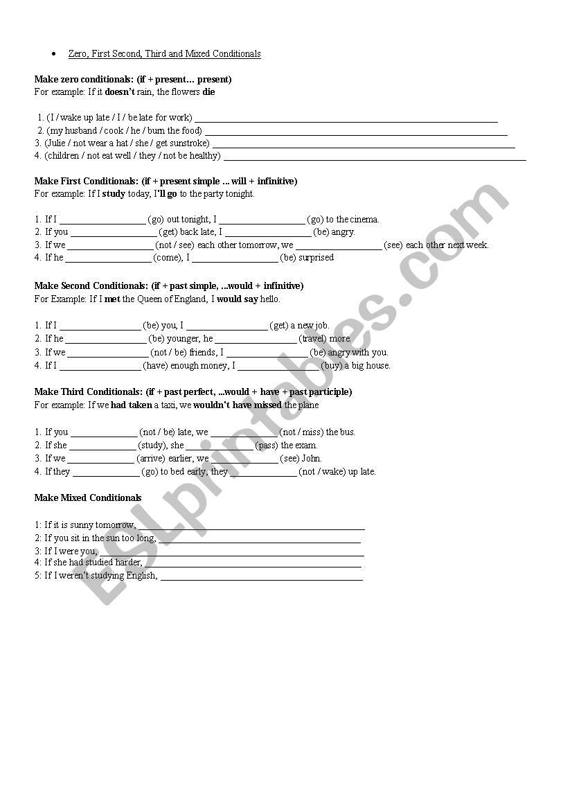 Conditionals Exercises worksheet