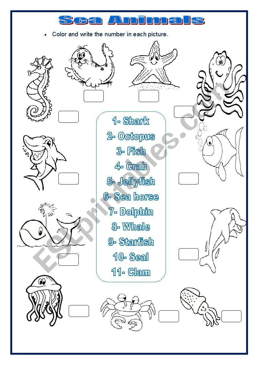 SEA ANIMALS worksheet