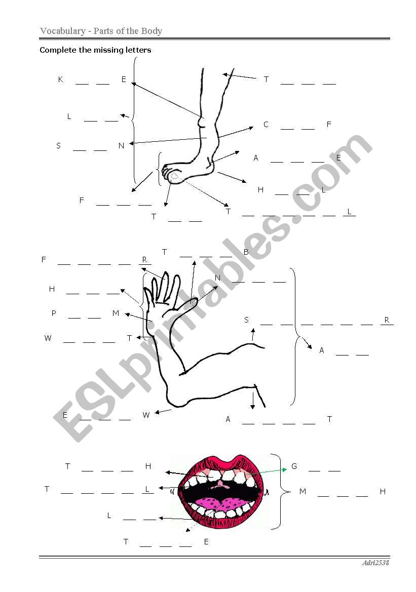 Parts of the Body 1 worksheet