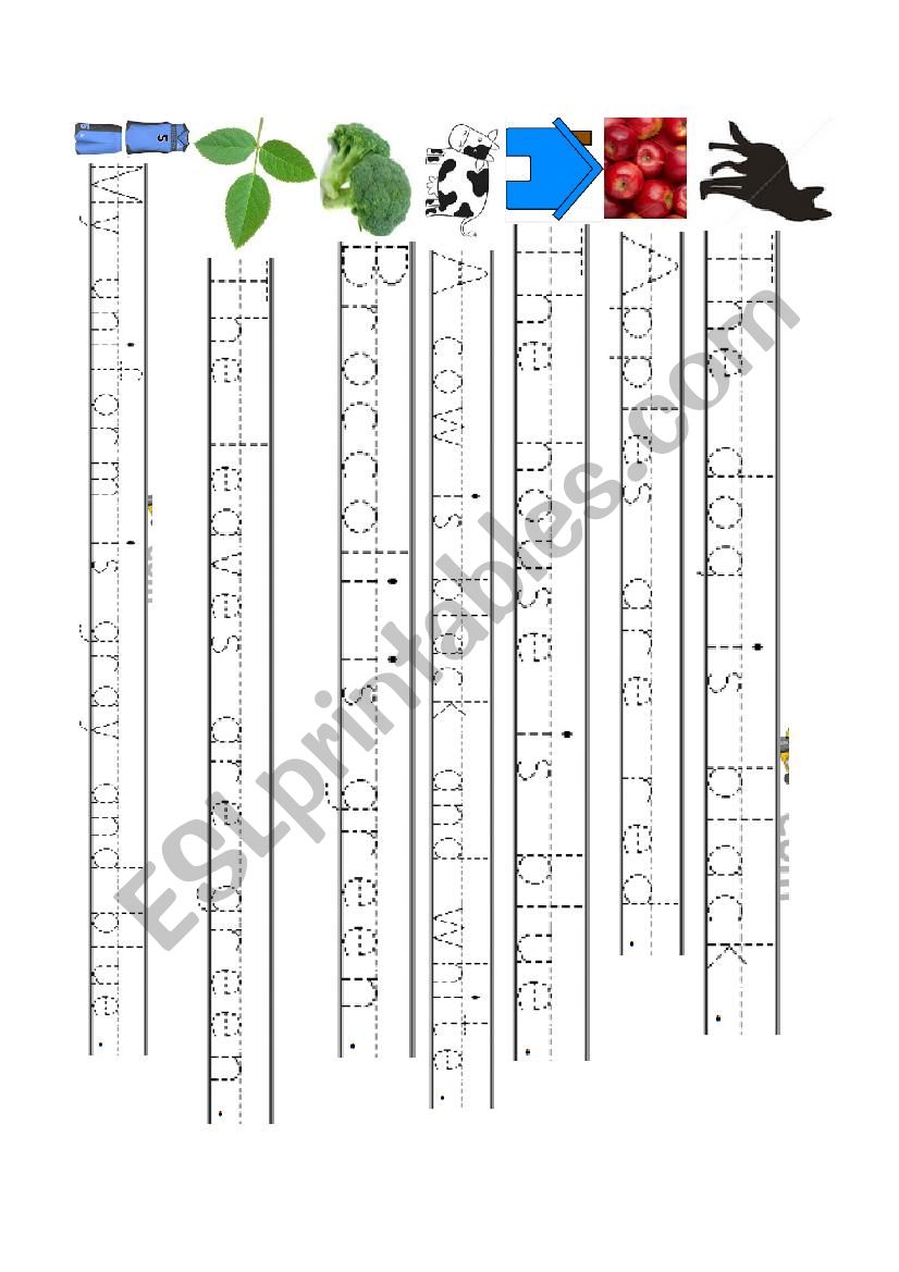 Be Sentences Affirmative worksheet