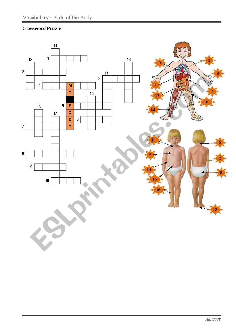 Parts of the Body worksheet