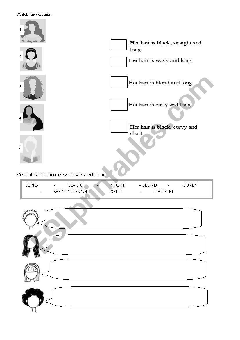 Types of hair worksheet