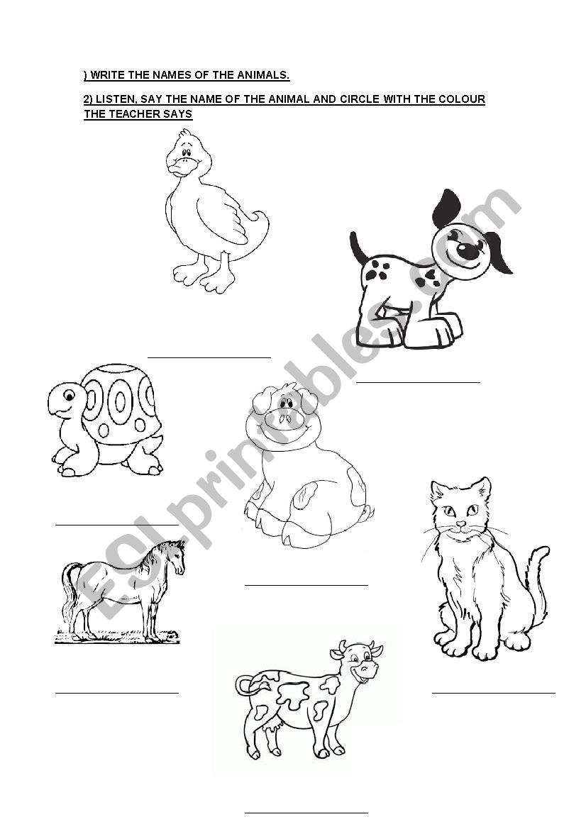 Animals worksheet worksheet