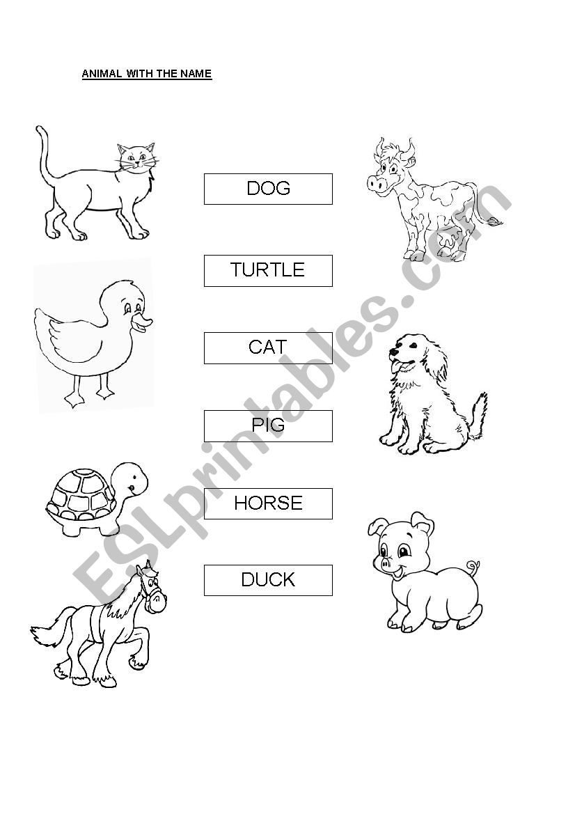 Match the animals worksheet