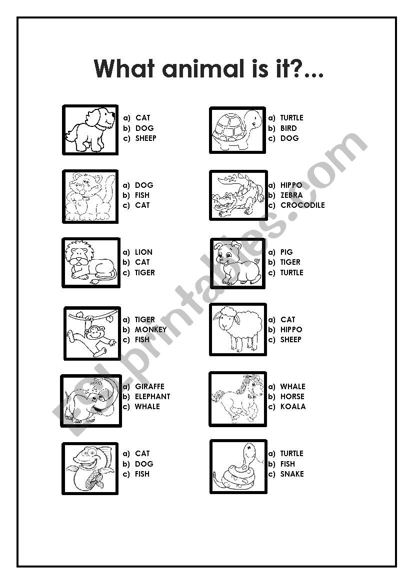 Animals worksheet