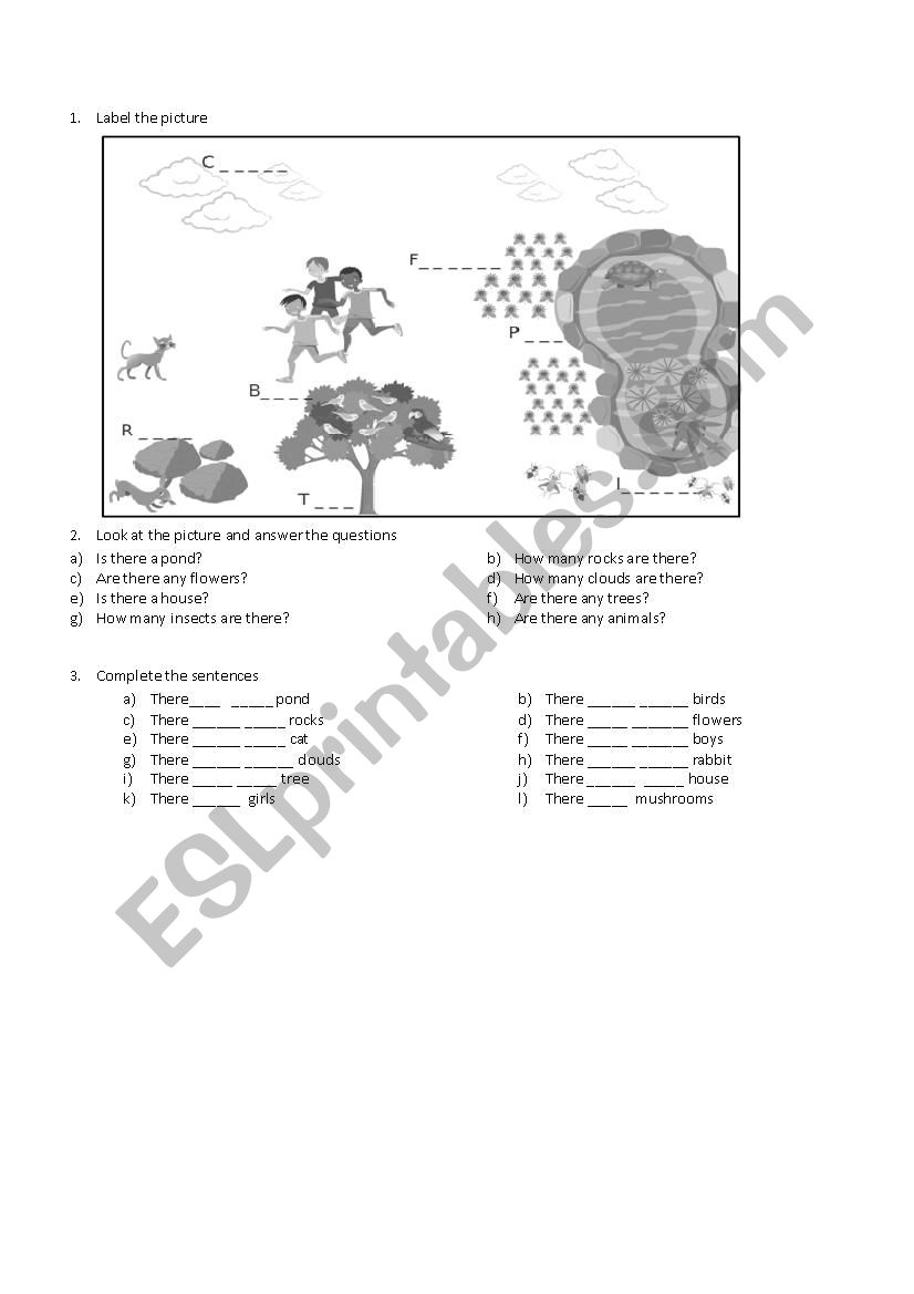Life in the pond worksheet