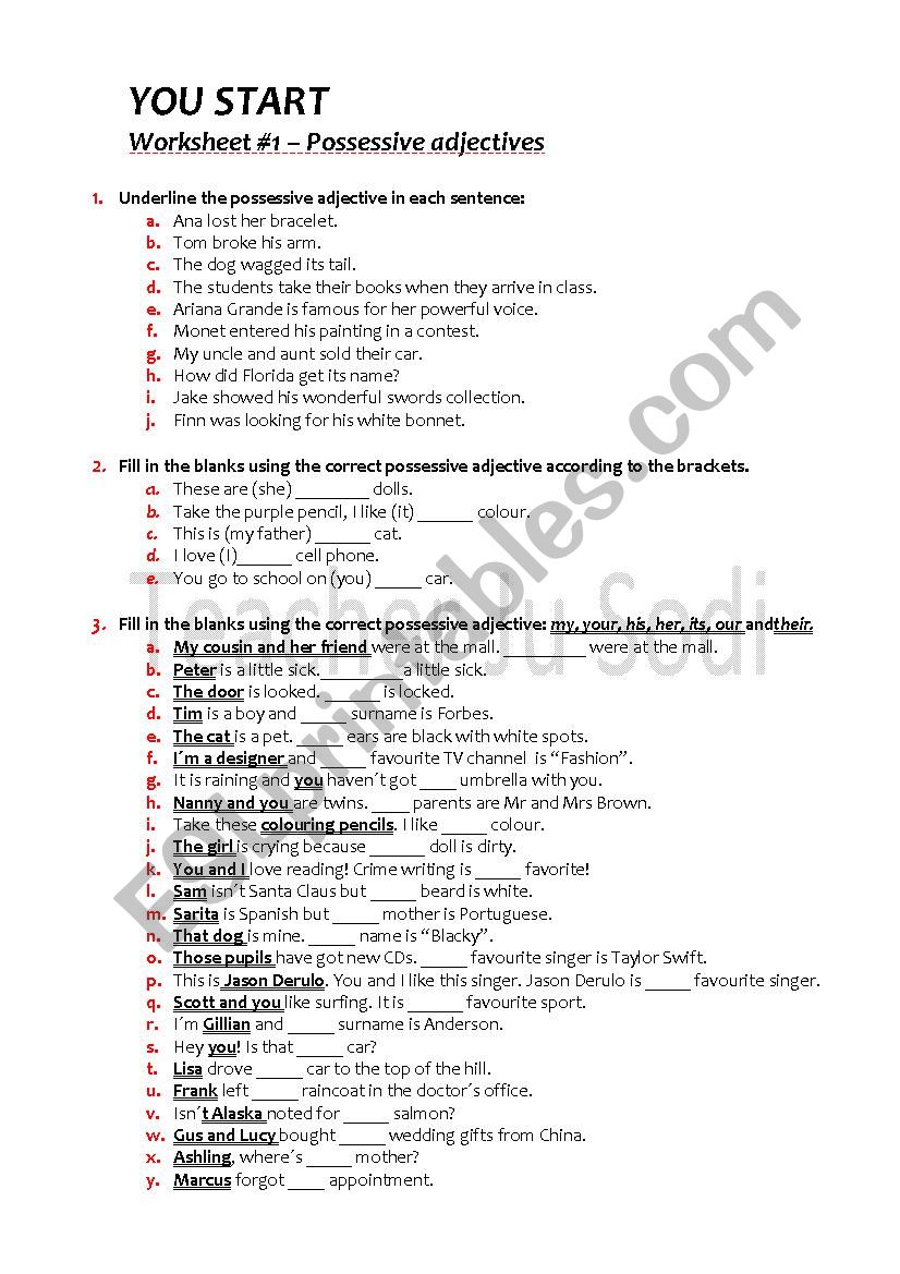 Possessive Adjectives worksheet