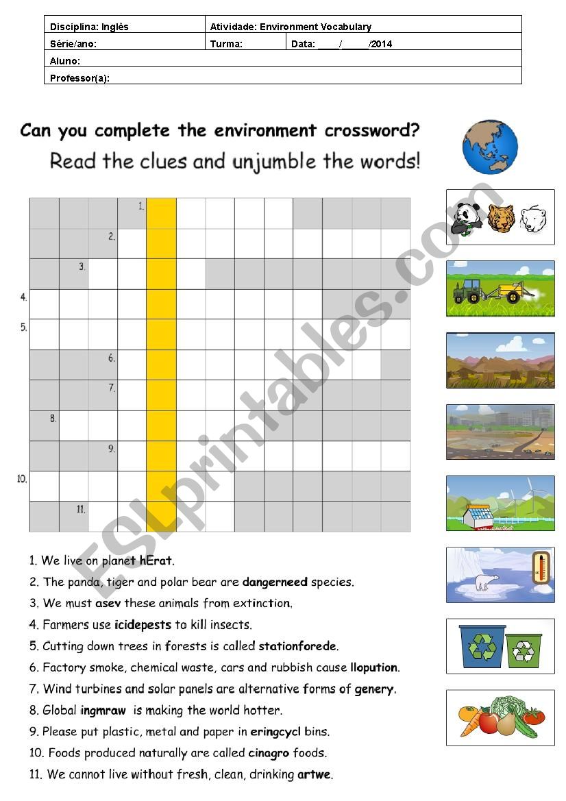 Environment worksheet