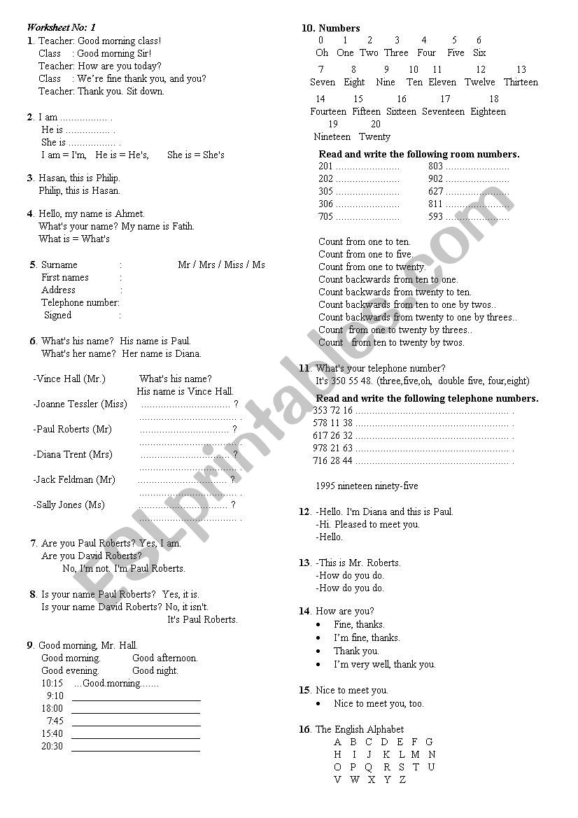 beginner worksheet 1 worksheet