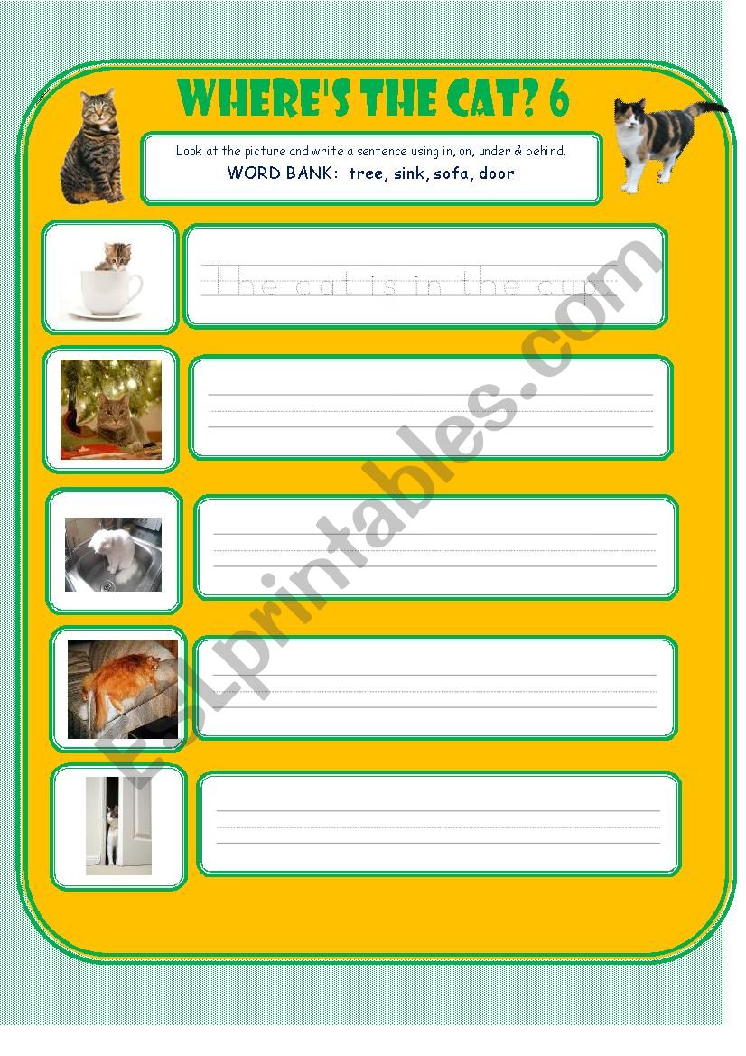 Wheres the Cat? 6 worksheet