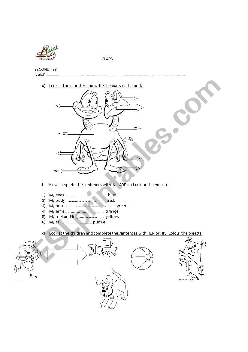 Parts of the body test worksheet