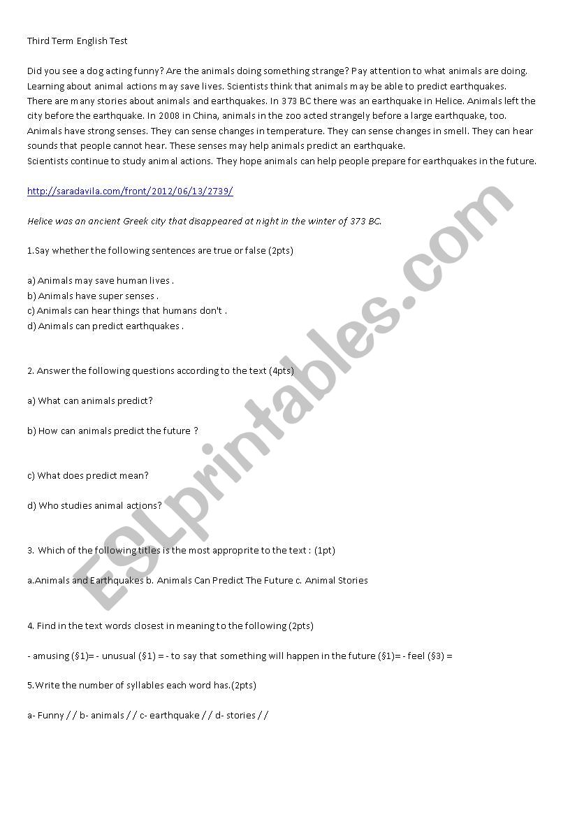 the third term test worksheet