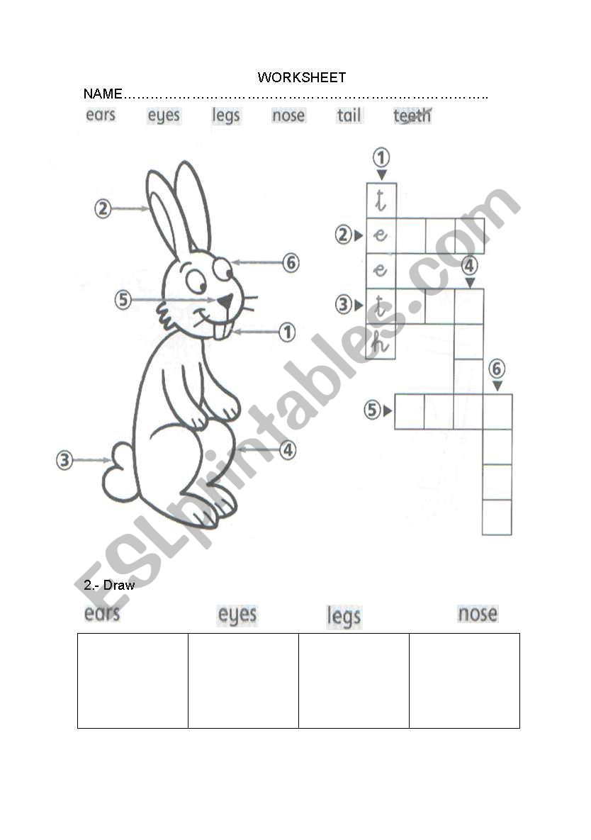 my body worksheet