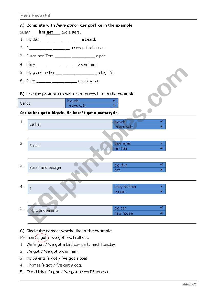 Verb Have Got worksheet