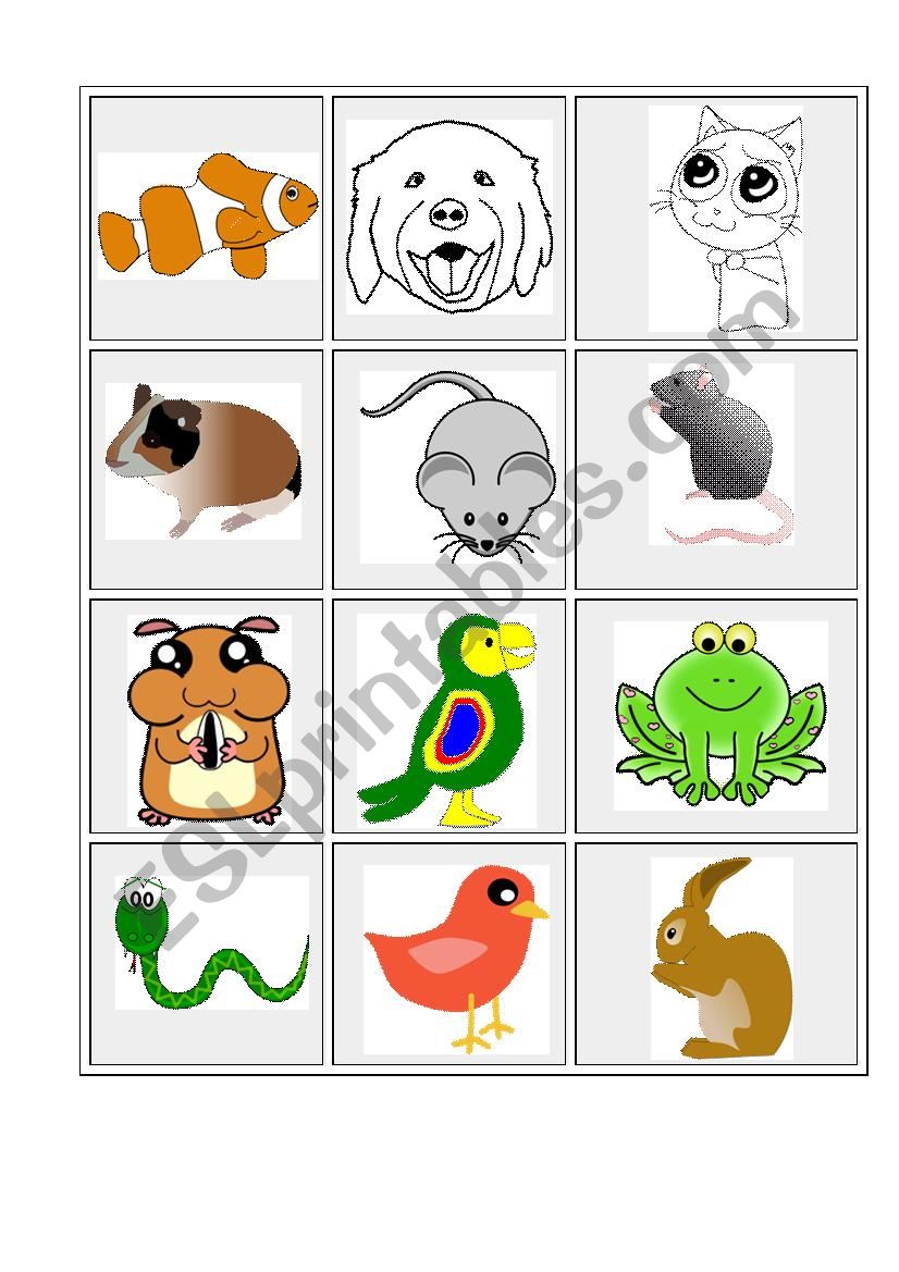 PETS - pictures and words worksheet