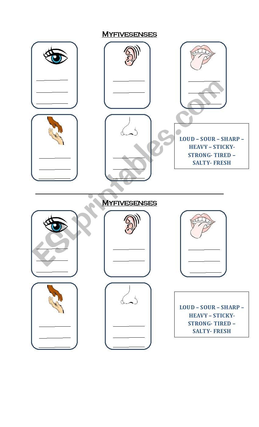 Our five senses worksheet