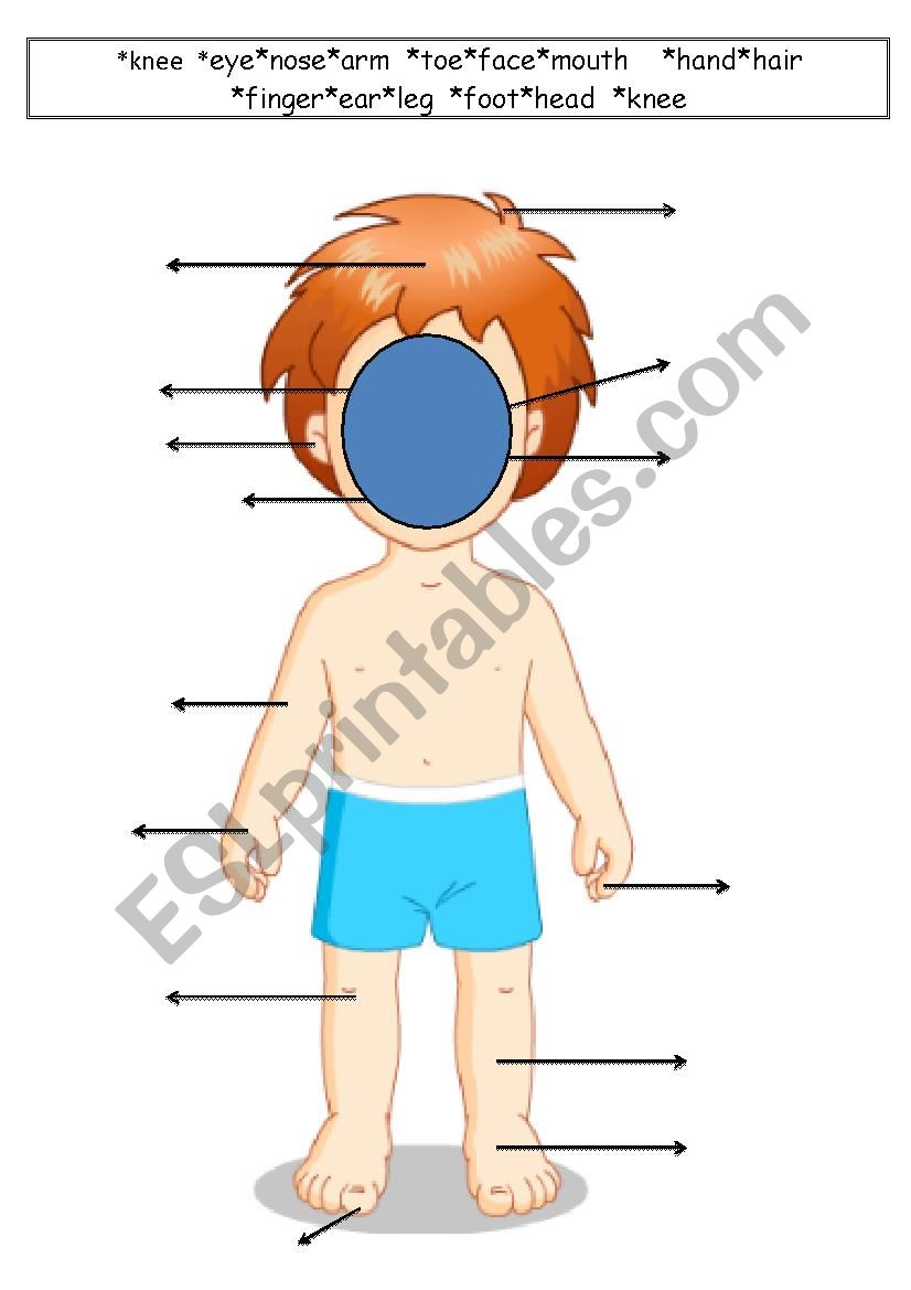 Body Parts worksheet