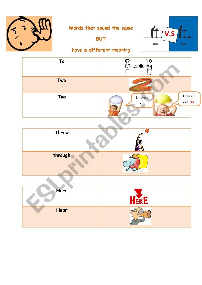 Words that sound the same worksheet