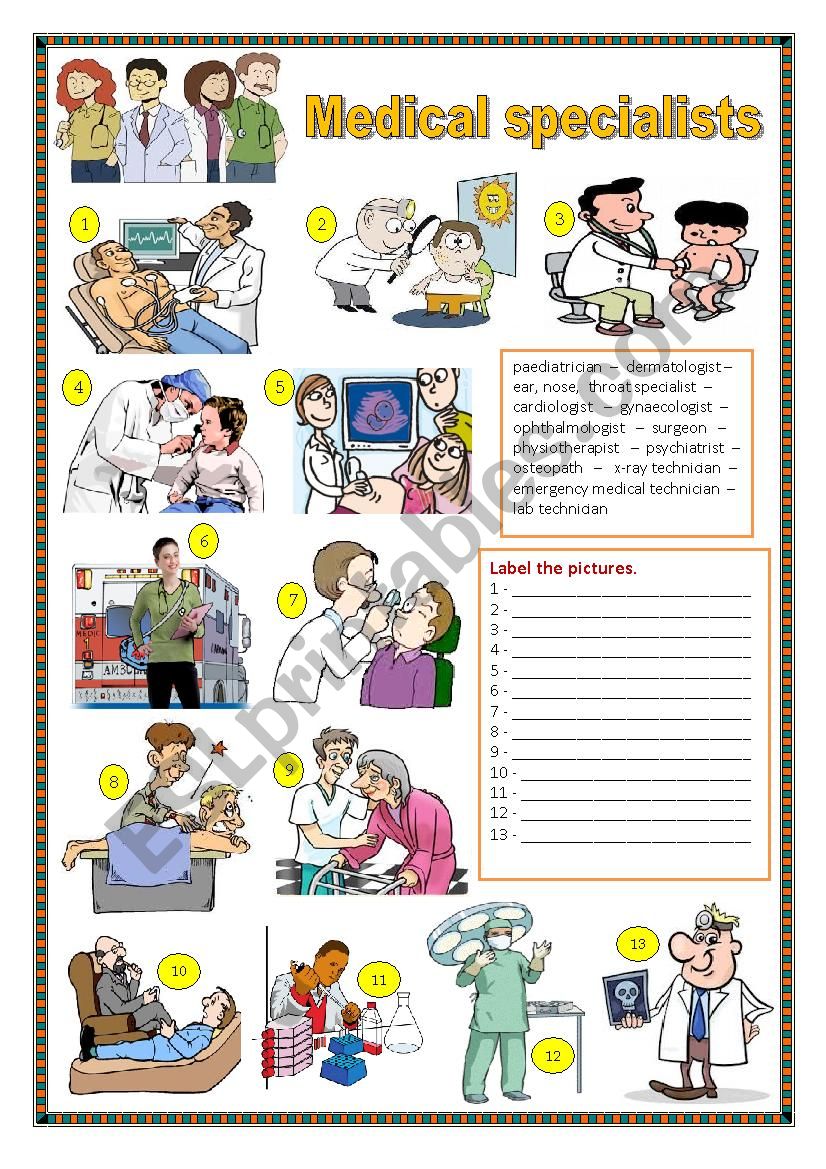 Medical specialists. worksheet