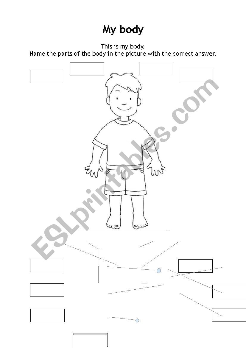 body parts, face parts - complete the gap