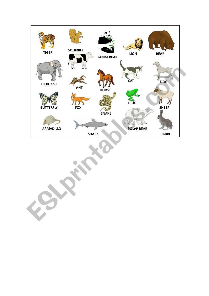 Animals worksheet