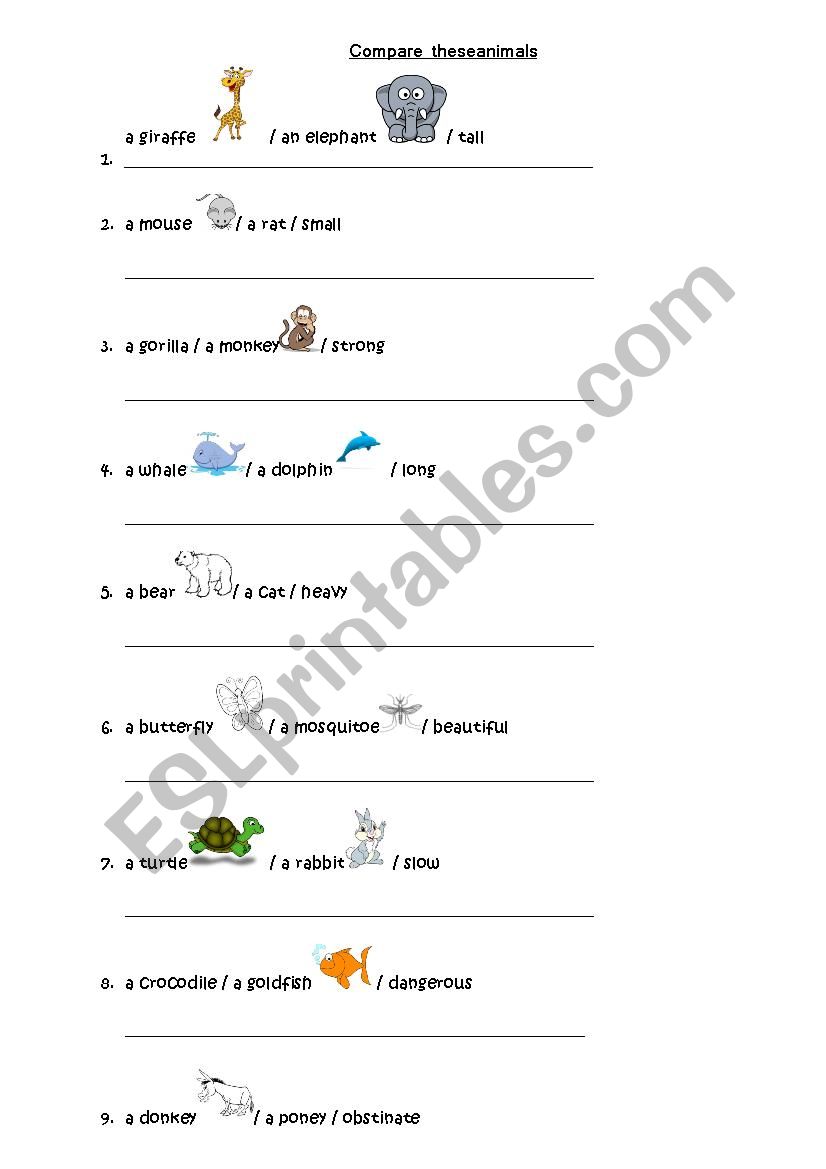 Compare the animals worksheet