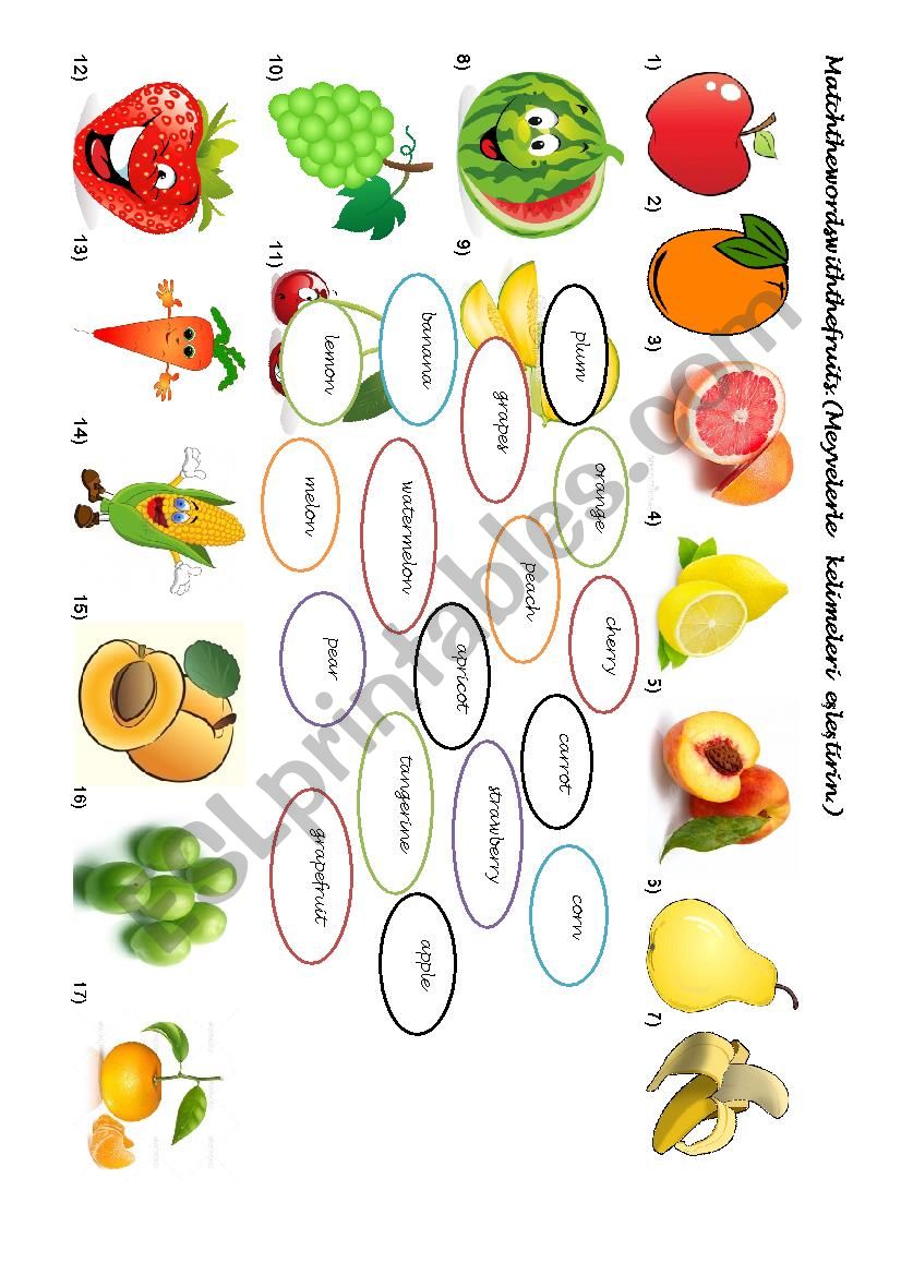 fruits worksheet