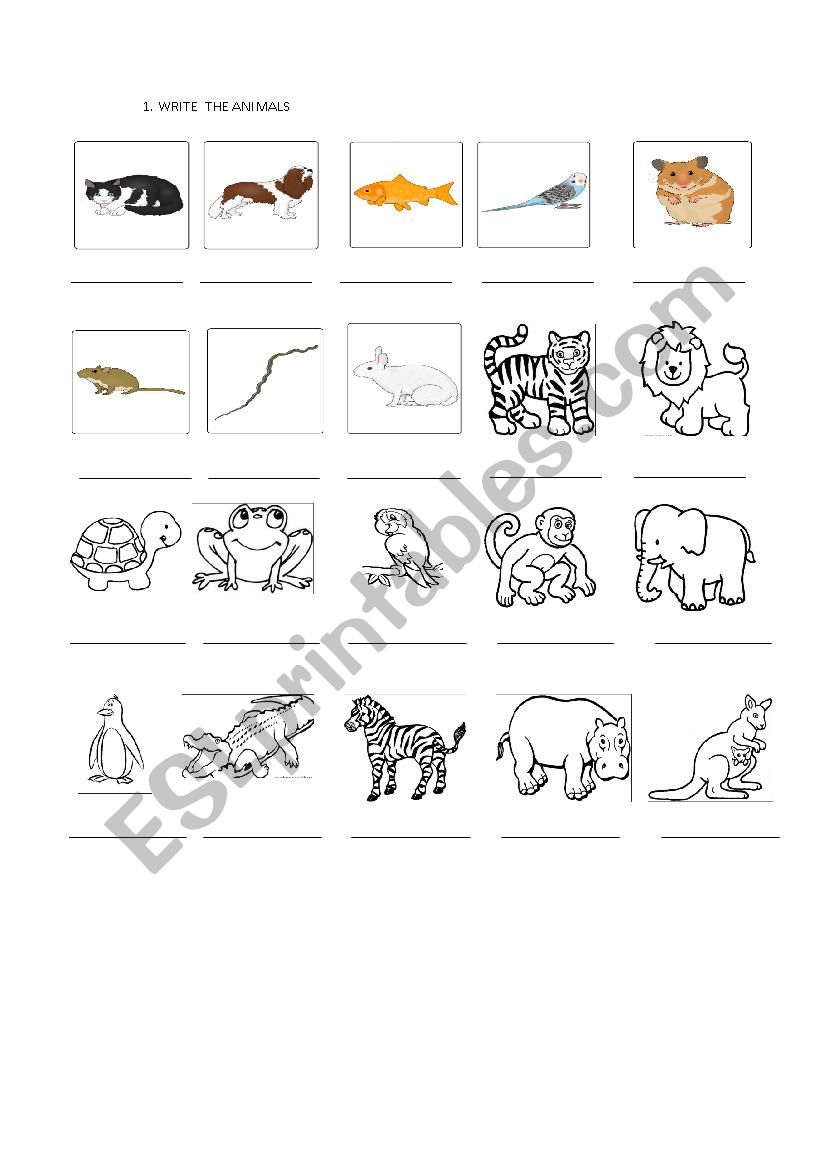 WRITE THE ANIMALS worksheet